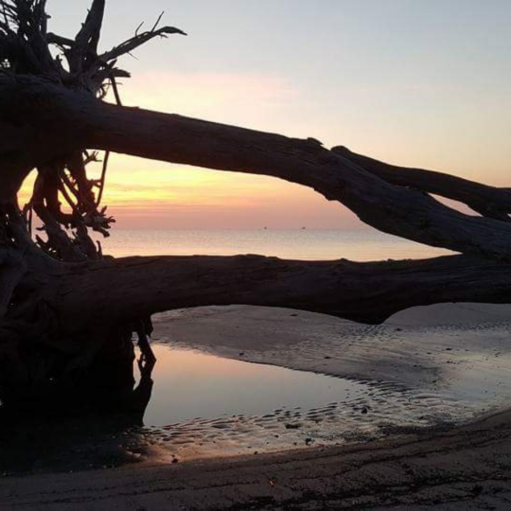 Meet your Posher, Barbara